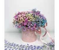 Цветная гипсофила Цветная гипсофила