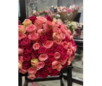 I love you I love you