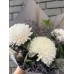 Букет «Белая хризантема»