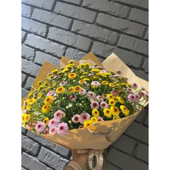 Моно букет цветных хризантем 