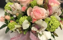 Выбираем цветы для знаков зодиака