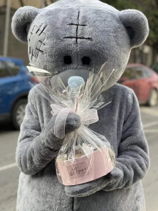 Вручение подарка плюшевым мишкой Teddy